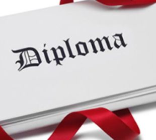 How To Get 1 Year Diploma In Chandigarh