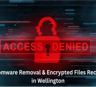Ransomware Removal