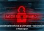 Ransomware Removal